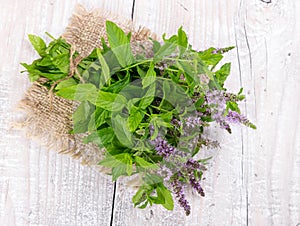 Bunch blooming mint