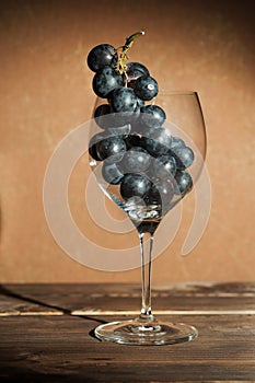 A bunch of blue dark grapes in a wine glass on a dark background in an artificial close-up