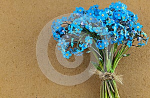 Bunch of blue forget me not flower