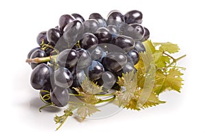 Bunch of blue grapes with leaf isolated on white background