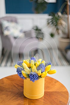 Bunch of blue hyacinths and yellow tulips on white table. Present for a girl. Flowers bouquet in box. Sunny spring