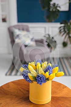 Bunch of blue hyacinths and yellow tulips on white table. Present for a girl. Flowers bouquet in box. Sunny spring