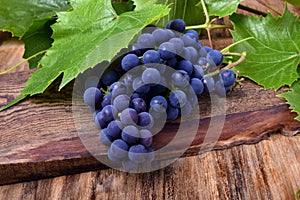 Bunch of blue Isabella grapes