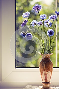 Bunch blue summery flowers on window