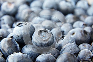 Bunch of blueberry berries close-up on a dark stone background