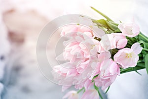 Bunch, bouquet of pink beautiful pastel tulips, flowers on white snow. Hello, welcome spring concept. Warm weather came. Melting