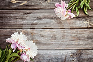 Bunch, bouquet of pink peonies on a wooden background. Frame of flowers