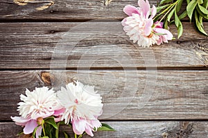 Bunch, bouquet of pink peonies on a wooden background. Frame of flowers