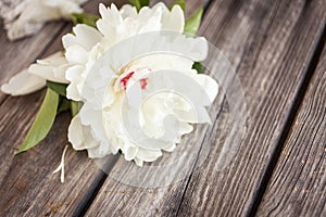 Bunch, bouquet of white peonies on a wooden background. Frame of flowers