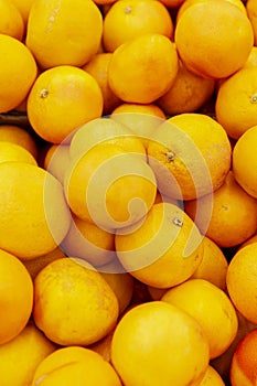 A bunch of bright juicy oranges. Healthy food and vitamins. Vertical