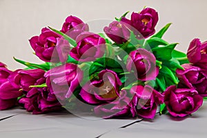 Bunch of bright pink tulips with green leaves, macro