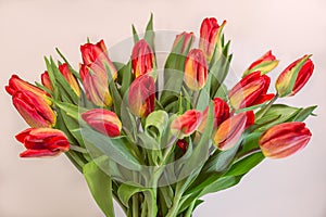 Bunch of bright red spring tulips in small vase