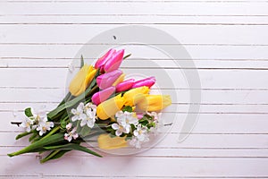Bunch of bright yellow and pink spring tulips and apple tree flo
