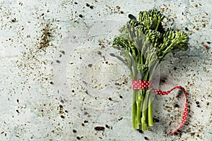 Bunch of broccolini on a stone surface