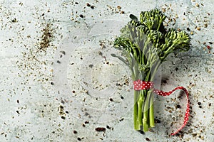 Bunch of broccolini on a stone surface photo
