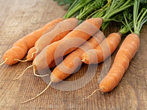 Bunch bundle of carrots isolated on a wooden board