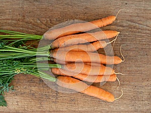 Bunch bundle of carrots isolated on a wooden board