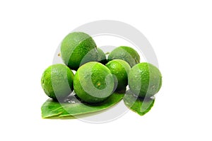 A bunch of Calamansi