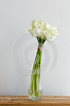 Bunch of callas in the vase