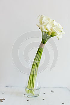 Bunch of callas in the vase