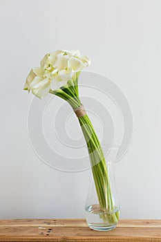 Bunch of callas in the vase