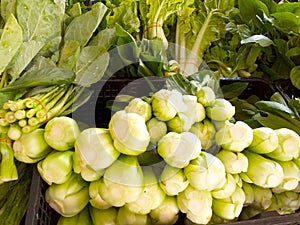 Bunch of Cantonese vegetables in the plastic basket