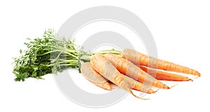 Bunch of carrot with the green top isolated over white background