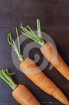 A bunch of carrot on wooden background