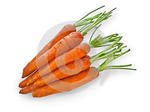 Bunch of carrots