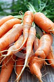 Bunch of Carrots