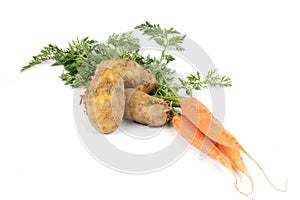 Bunch of Carrots with Potatoes