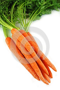 Bunch of Carrots on White