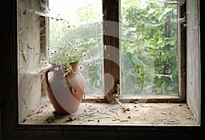 Rustic still life with wild flowers in brown clay jug