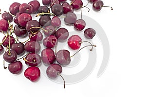 Bunch of cherries isolated on white