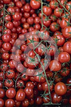 A bunch of cherry tomatoes on the vine in a box photo