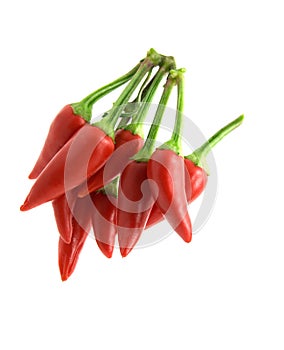 Bunch of chili pepper