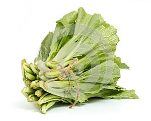 A bunch of Chinese cabbage on white background