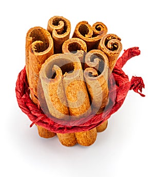 Bunch of cinnamon on branch delicately tied