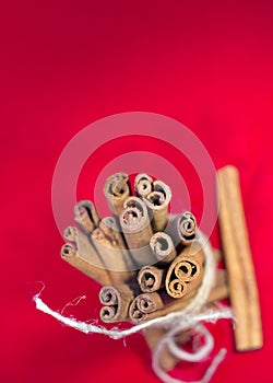 Bunch of cinnamon stick