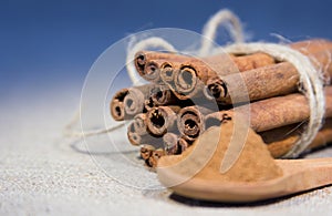 Bunch of cinnamon stick