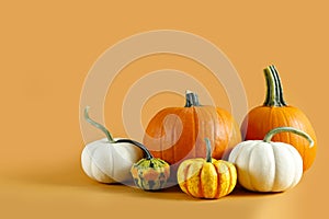 Bunch of classic orange, hooligan and baby boo pumpkins isolated on bright background