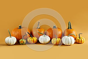 Bunch of classic orange, hooligan and baby boo pumpkins isolated on bright background