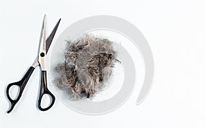 A bunch of clipped hair with scissors. Hair care