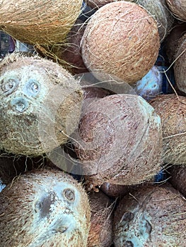 Bunch of Coco Nuts
