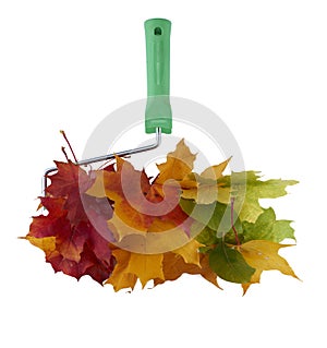 Bunch of colorful autumn maple leaves. Malar roller of autumn leaves. The concept of autumn sales, black Friday, isolated on white