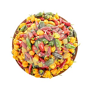 Bunch of Colorful Hot Peppers on a Tray #3