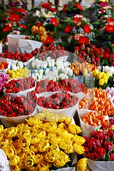 Bunch of colorful roses and tulips