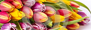 bunch of colorful tulip flowers