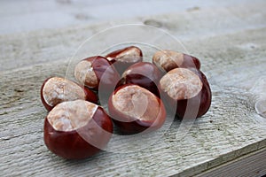 Bunch of conkers laying on a wooden table