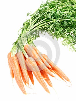 Bunch of crunchy carrots on white background